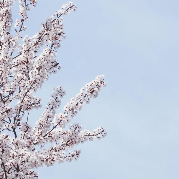 OD体育棋牌游戏